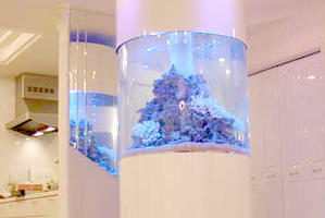 事例 参考価格 水槽レンタル 熱帯魚アクアリウム インテリア アクアリンク株式会社 事例 参考価格 水槽レンタル 熱帯魚アクアリウム インテリア アクアリンク株式会社